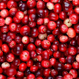 cranberries